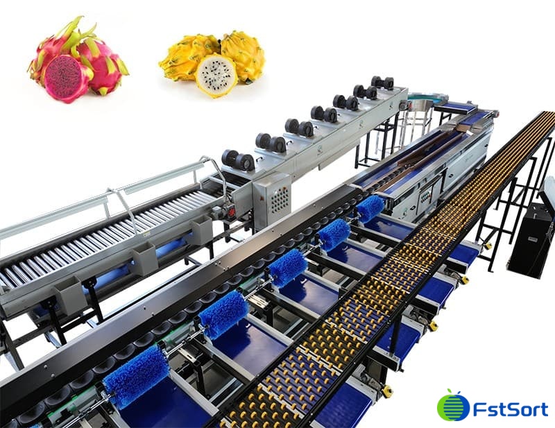 Dragon fruit processing line for Ecuador.jpg Dragon fruit processing line for Ecuador.jpg